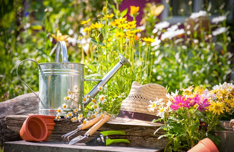 Les outils à avoir pour bien s’occuper du jardin