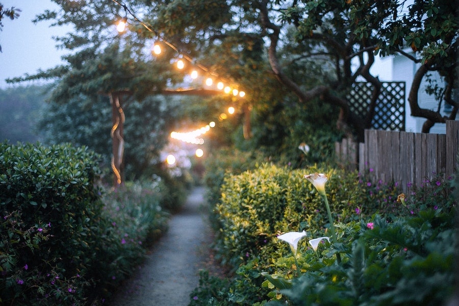 Quel éclairage choisir pour mettre en valeur mon jardin ?