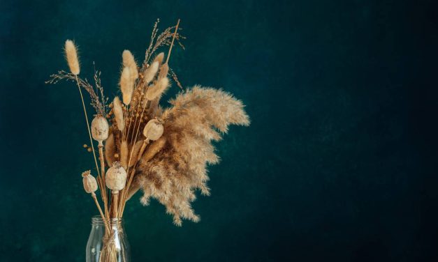 VANERUM : une marque pionnière dans les produits de communication visuelle pour les environnements modernes