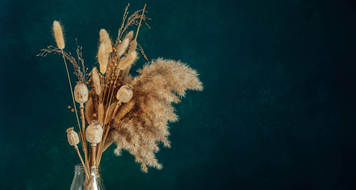 Hygena et la vie en ville : une marque pour des personnes actives