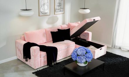 Canapé-Coffre : la solution gain de place pour petits espaces